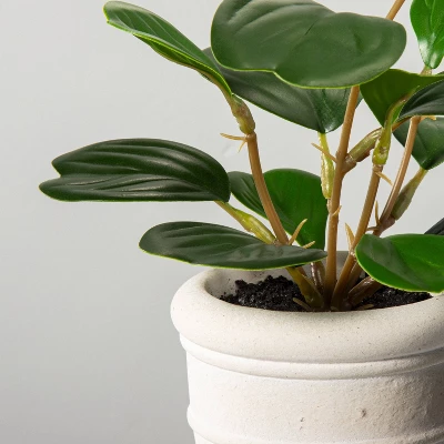 8" Mini Faux Hoya Heart Plant - Hearth & Hand™ With Magnolia 2 8" Mini Faux Hoya Heart Plant - Hearth & Hand™ With Magnolia - Image 2