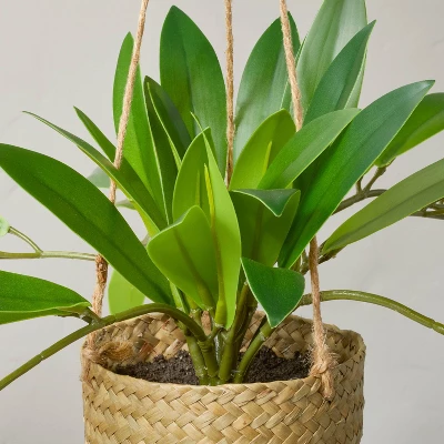 8" Faux Hoya Hanging Plant - Hearth & Hand™ With Magnolia 2 8" Faux Hoya Hanging Plant - Hearth & Hand™ With Magnolia - Image 2